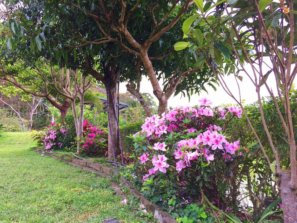 Jiu An Qing Jing Homestay Фулі Екстер'єр фото